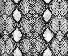 Load image into Gallery viewer, P3006-AN50485 C19 GREY ANIMAL SATIN KNIT PRINT YOGA FABRICS