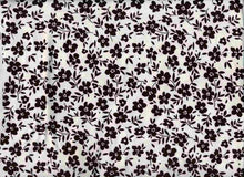 Load image into Gallery viewer, D2052-FL51483 C1 IVORY/BLACK BRUSH PRINT FLOWERS DTY