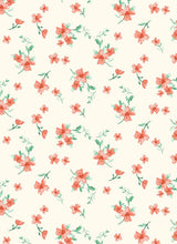 Load image into Gallery viewer, P2243-FL51594-Y C1 IVORY/CORAL PRINTED RIB KNIT FLORAL