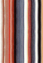 Load image into Gallery viewer, D2052-ST50254 C2 GREY/RUST BRUSH PRINT STRIPES COZY FABRICS DTY
