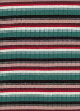 Load image into Gallery viewer, J3375-ST50411 C2 HUNTER/NUDE HACHI RIB STRIPES
