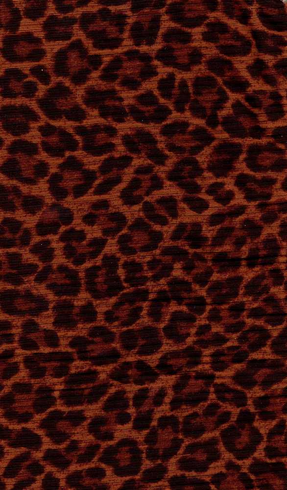 P2243-AN50507-Y--4x2 Yummy Rib Cheetah Print